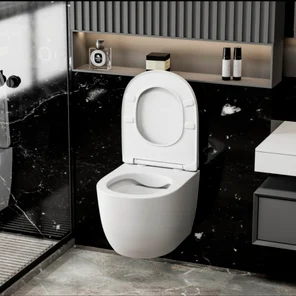 Унитазы и инсталляции